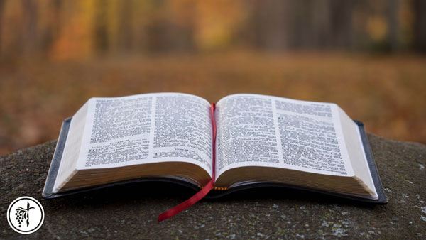 Trusting God Through Hard Times