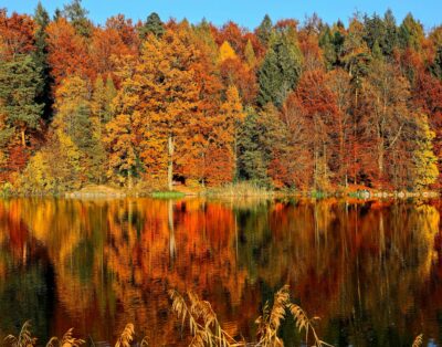 Fall octobe post