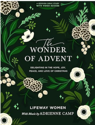 The wonder of advent